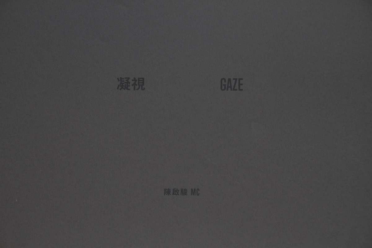 Book cover of Gaze
