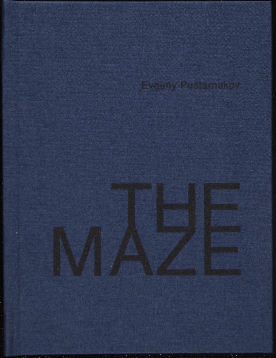 Book cover of The Maze